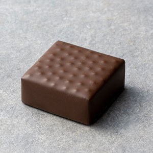 ルビーハイビスカス